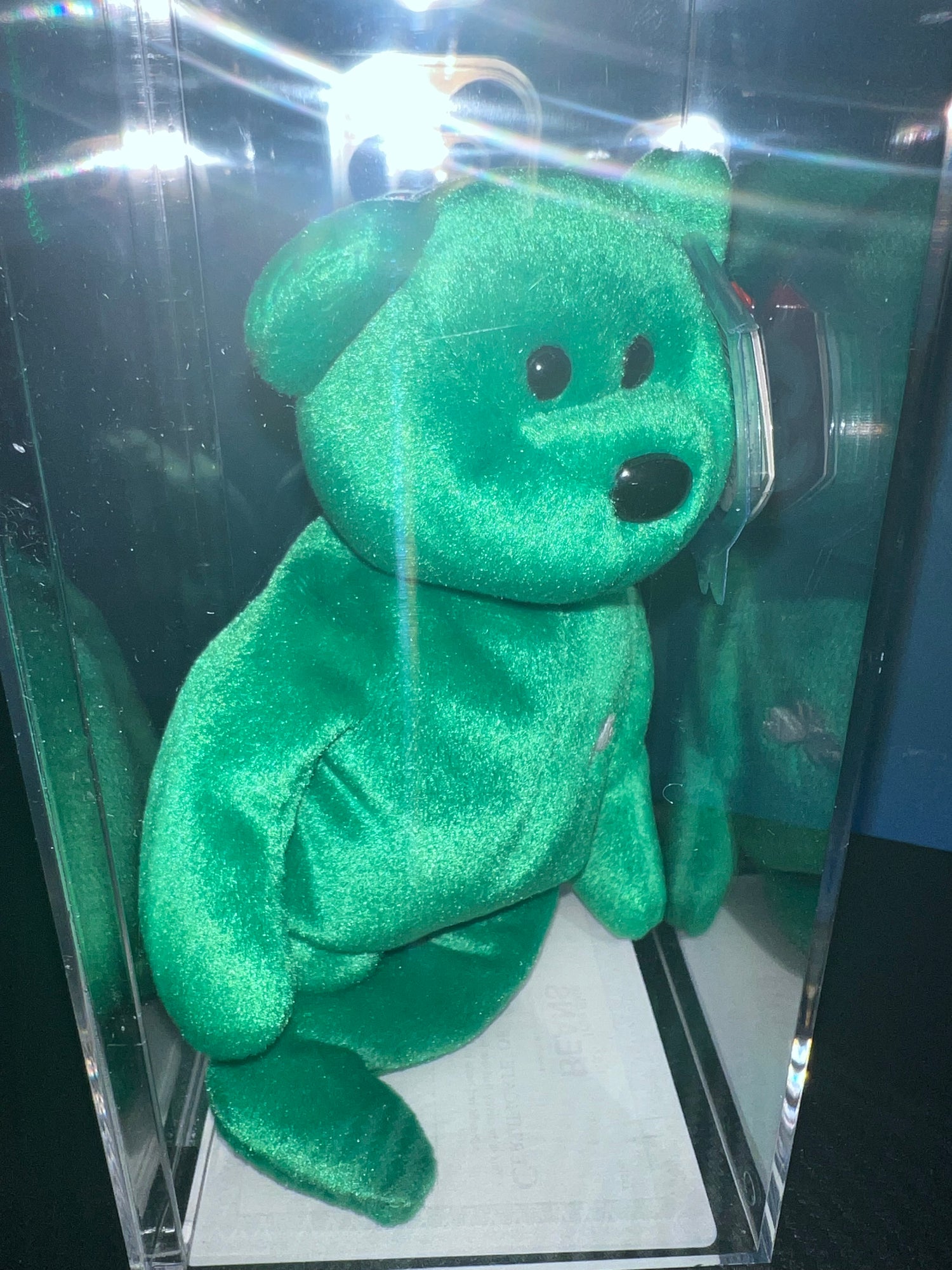 Erin The Bear Ty Beanie Baby Becky's True Blue Beans Authenticated